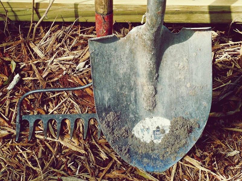 Pest Control Strategies